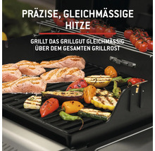 Grill mit Lachs, Paprika, Zucchini, Aubergine und Tomaten