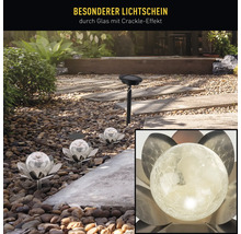 Gartenszene mit Solarleuchten im Blumen-Design und einer Solarleuchte mit Erdspieß