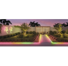 Beleuchteter Garten mit Gartenhaus, Blumenleuchten und Wegbeleuchtung