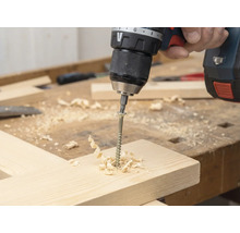 Akkuschrauber schraubt Schraube in Holzbrett