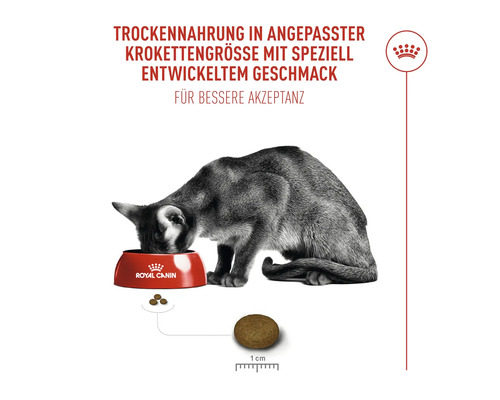 Katze frisst Trockenfutter aus einer Schüssel von Royal Canin