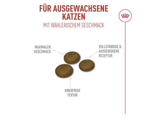Katzenfutter für ausgewachsene Katzen mit maximalem Geschmack und knuspriger Textur