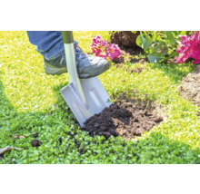 Eine Person gräbt mit einem Spaten ein Loch in einen Rasen für die Gartenarbeit.