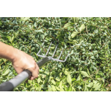 Eine Person harkt mit einer Metallharke Blätter zusammen.