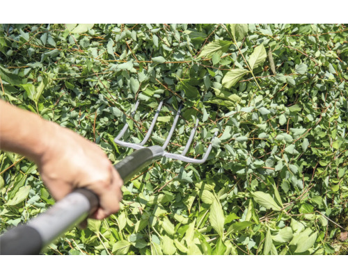 Eine Person harkt mit einer Metallharke Blätter zusammen.