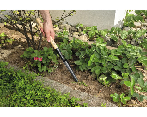 Garten Szene mit Pflanzlochstecher im Einsatz zum Pflanzen von Setzlingen