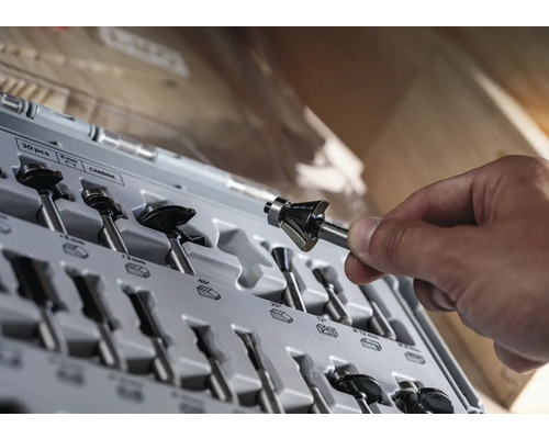 Ein Set aus verschiedenen Fräsern in einer Kunststoffbox, eine Hand hält einen Fräser.