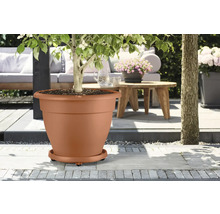 Kunststoff Pflanzkübel mit Baum auf Terrasse