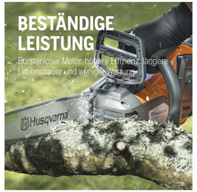 Husqvarna Kettensäge schneidet einen Ast