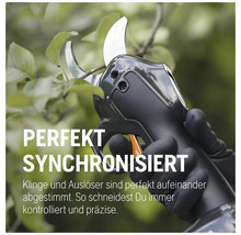 Akku Gartenschere beim Schneiden eines Astes