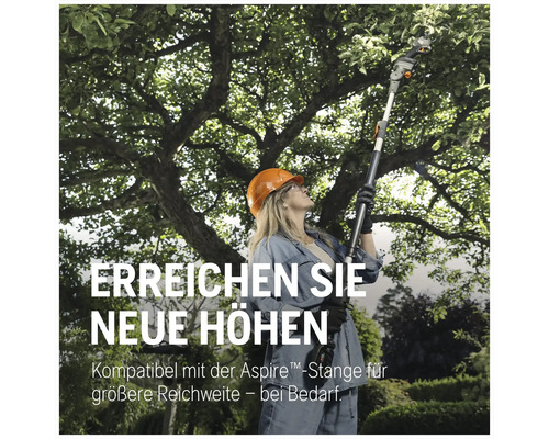 Frau mit Helm benutzt eine Teleskop-Astschere für Baumschnittarbeiten.