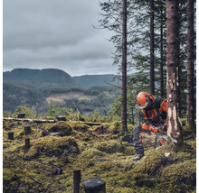 Ein Mann mit Schutzkleidung und Helm arbeitet mit einer Kettensäge in einem Waldstück.