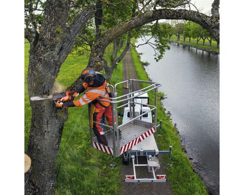 Baumpfleger mit Kettensäge auf einer Hebebühne bei Baumschnittarbeiten an einem Baum neben einem Kanal