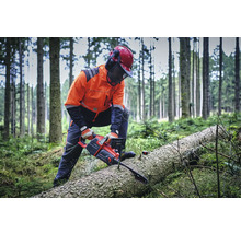 Forstwirt sägt Baumstamm mit einer Kettensäge im Wald.