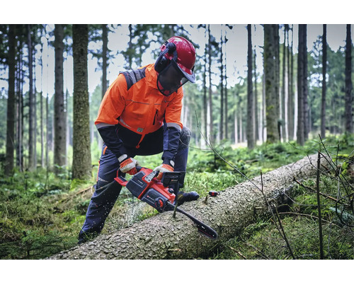 Forstwirt sägt Baumstamm mit einer Kettensäge im Wald.