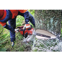 Eine Person sägt mit einer Kettensäge einen Baum.