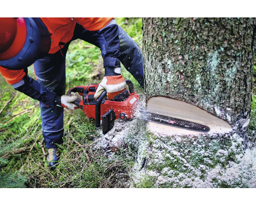 Eine Person sägt mit einer Kettensäge einen Baum.