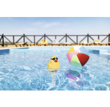 Szene mit einem gelben Quietscheentchen mit Sonnenbrille und einem bunten Ball in einem Swimmingpool