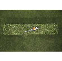 Draufsicht: Heckenschere auf geschnittener Hecke im Gras