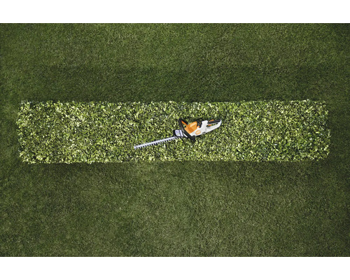 Draufsicht: Heckenschere auf geschnittener Hecke im Gras