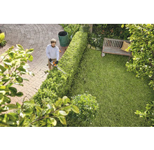 Mann schneidet Hecke mit Heckenschere in einem Garten.