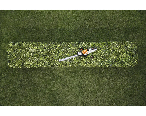 Aufsicht auf eine Heckenschere auf einer geschnittenen Hecke in einem Rasen