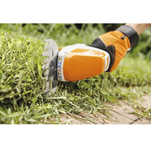 Akku-Grasschere im Einsatz beim Grasschneiden