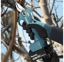 Makita Akku-Astschere 18 Volt beim Schneiden eines Astes an einem Baum.