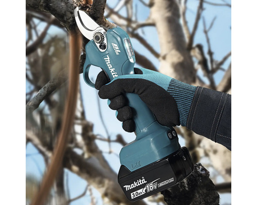Makita Akku-Astschere 18 Volt beim Schneiden eines Astes an einem Baum.