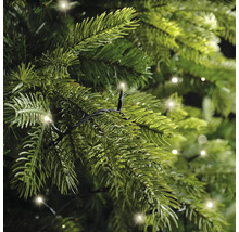 Nahaufnahme von grünen Tannenweigen mit einer warmweißen LED-Lichterkette.