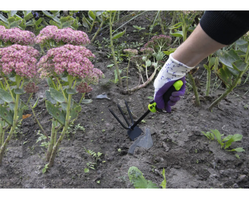 Eine Person arbeitet mit einer Gartenhacke in einem Beet mit Herbst-Fetthenne.