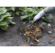 Eine Person mit Gartenhandschuhen benutzt einen Fächerbesen, um Laub zu entfernen.