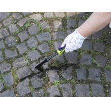 Eine Person entfernt Unkraut mit einem Fugenkratzer von einem Pflasterweg.