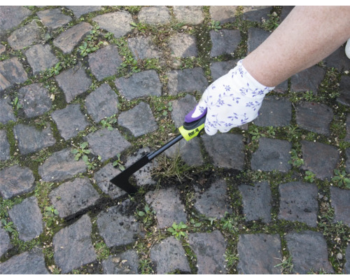 Eine Person entfernt Unkraut mit einem Fugenkratzer von einem Pflasterweg.