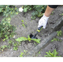 Gartenbild mit Hand, Gartenhandschuh und Unkrautstecher im Einsatz.