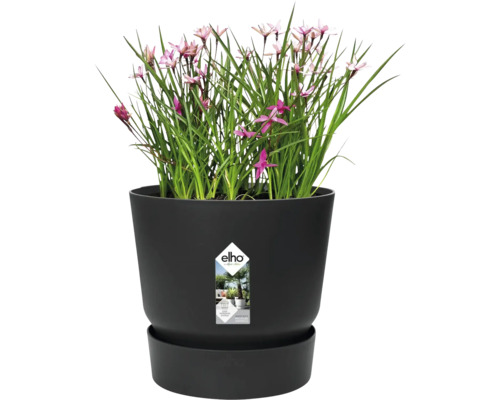 elho Blumentopf mit Pflanze und Untersetzer, integriertes Bewässerungssystem, hergestellt aus recycelten Materialien.