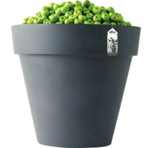 Großer runder Pflanztopf von elho in Anthrazit, gefüllt mit grünen Äpfeln zur Veranschaulichung der Größe.