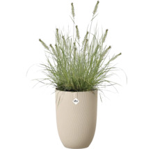 Ziergras in einem hohen Elho Pflanzgefäß mit gewellter vertikaler Struktur. Elho Logo.