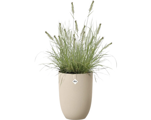 Ziergras in einem hohen Elho Pflanzgefäß mit gewellter vertikaler Struktur. Elho Logo.