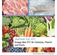 Frisches Fleisch, Fisch sowie eine Auswahl an Gemüse und Obst zur Demonstration der VitaFresh XXL 0 Grad Celsius Funktion.