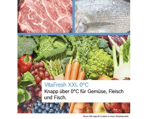 Frisches Fleisch, Fisch sowie eine Auswahl an Gemüse und Obst zur Demonstration der VitaFresh XXL 0 Grad Celsius Funktion.