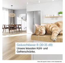Moderne helle Küche mit silbernem Side-by-Side Kühlschrank und schlafender Katze als Symbol für die leise Geräuschklasse B von 30 bis 35 Dezibel.