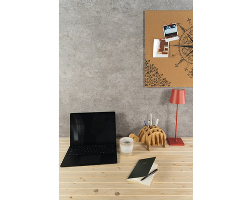 Organisierter Arbeitsplatz mit Laptop, roter Tischlampe, schildkrötenförmigem Halter und Pinnwand auf hellem Holztisch vor grauer Wand.