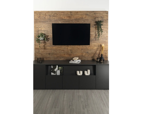 Modern gestaltetes Wohnzimmer mit wandmontiertem Fernseher auf rustikaler Holzpaneelwand, Sideboard, Pflanzen und Bodenbelag in Holzoptik.
