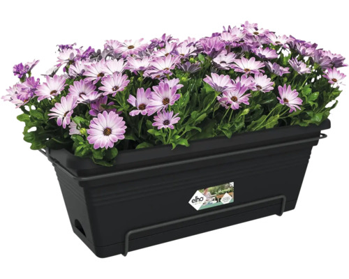 Schwarzer Elho Balkonkasten aus Kunststoff bepflanzt mit violetten und weißen Blumen.