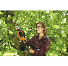 Frau benutzt eine Worx Akku-Säbelsäge zum Beschneiden eines Astes im Garten. Sie trägt eine Schutzbrille und Handschuhe.