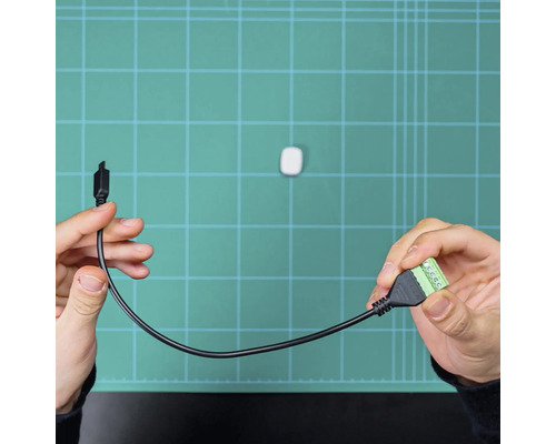 Adapterkabel mit einem schwarzen Steckverbinder und einem grünen Terminalblock mit Schraubklemmen.