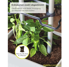 Nahaufnahme eines Pflanzgefäßes mit zwei grünen Paprikapflanzen in Erde inklusive Rankhilfe und Hinweis auf 20 Liter Erdvolumen.