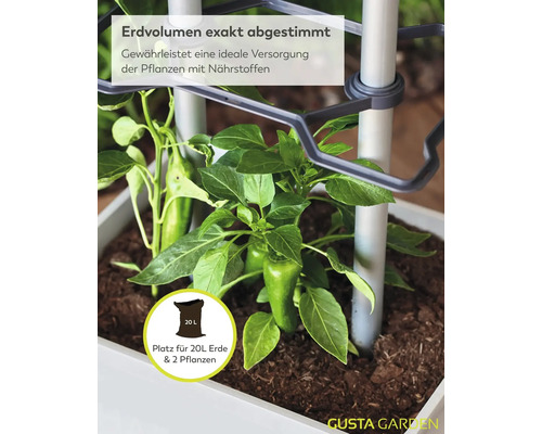 Nahaufnahme eines Pflanzgefäßes mit zwei grünen Paprikapflanzen in Erde inklusive Rankhilfe und Hinweis auf 20 Liter Erdvolumen.
