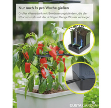 Selbstbewässerndes Pflanzgefäß für Gemüse mit großem Wassertank, Bewässerungsbändern und Paprikapflanze mit Früchten. Gusta Garden Logo.
